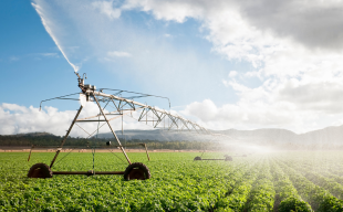 Agriculture Blog Tri Sure
